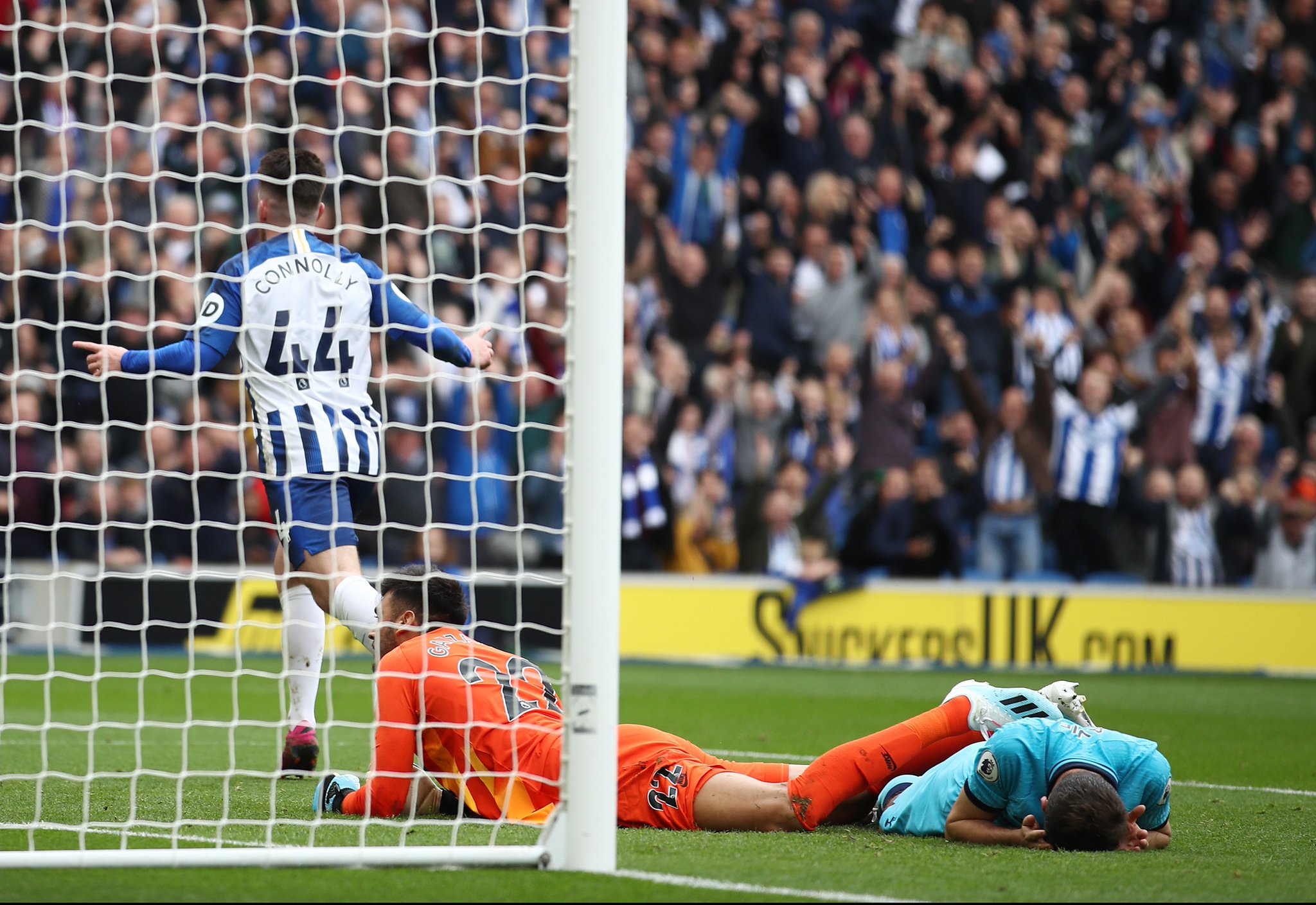 但从共性看 但从共性看